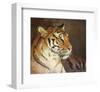 Tiger-Chris Vest-Framed Art Print