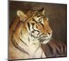 Tiger-Chris Vest-Mounted Art Print