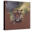 Tiger-Stan Kaminski-Stretched Canvas