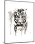 Tiger-Philippe Debongnie-Mounted Art Print