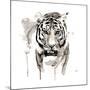 Tiger-Philippe Debongnie-Mounted Giclee Print