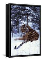 Tiger-null-Framed Stretched Canvas