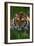 Tiger-null-Framed Photographic Print