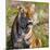 Tiger-null-Mounted Photographic Print