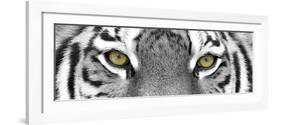 Tiger-PhotoINC-Framed Photographic Print