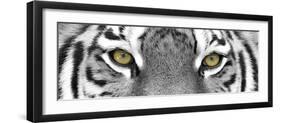 Tiger-PhotoINC-Framed Photographic Print