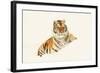 Tiger-null-Framed Photographic Print