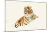 Tiger-null-Mounted Photographic Print