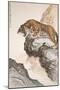 Tiger-Zhang Shanzi-Mounted Giclee Print