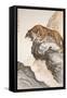 Tiger-Zhang Shanzi-Framed Stretched Canvas