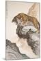 Tiger-Zhang Shanzi-Mounted Giclee Print