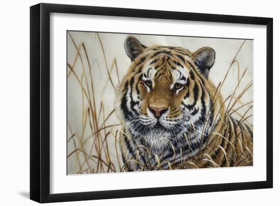 Tiger-Jeff Tift-Framed Premium Giclee Print