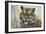 Tiger-Jeff Tift-Framed Premium Giclee Print