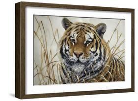 Tiger-Jeff Tift-Framed Giclee Print