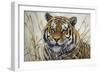 Tiger-Jeff Tift-Framed Giclee Print