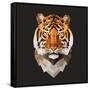 Tiger-Lora Kroll-Framed Stretched Canvas