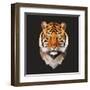 Tiger-Lora Kroll-Framed Art Print