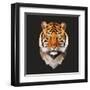 Tiger-Lora Kroll-Framed Art Print