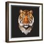 Tiger-Lora Kroll-Framed Art Print