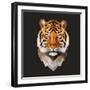 Tiger-Lora Kroll-Framed Art Print