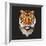 Tiger-Lora Kroll-Framed Art Print