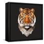 Tiger-Lora Kroll-Framed Stretched Canvas