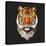 Tiger-Lora Kroll-Stretched Canvas