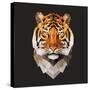 Tiger-Lora Kroll-Stretched Canvas