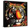 Tiger-null-Framed Stretched Canvas