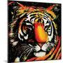 Tiger-null-Mounted Premium Giclee Print