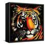 Tiger-null-Framed Stretched Canvas