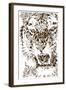 Tiger-Cristian Mielu-Framed Art Print