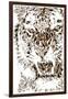 Tiger-Cristian Mielu-Framed Premium Giclee Print