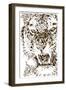 Tiger-Cristian Mielu-Framed Art Print