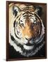 Tiger-Vivien Rhyan-Framed Art Print