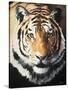 Tiger-Vivien Rhyan-Stretched Canvas