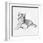 Tiger-Vivien Rhyan-Framed Art Print