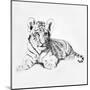 Tiger-Vivien Rhyan-Mounted Art Print