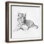 Tiger-Vivien Rhyan-Framed Premium Giclee Print