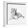 Tiger-Vivien Rhyan-Framed Premium Giclee Print