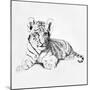 Tiger-Vivien Rhyan-Mounted Premium Giclee Print