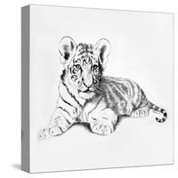 Tiger-Vivien Rhyan-Stretched Canvas