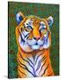Tiger-Jane Tattersfield-Stretched Canvas