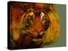 Tiger-Mark Gordon-Stretched Canvas