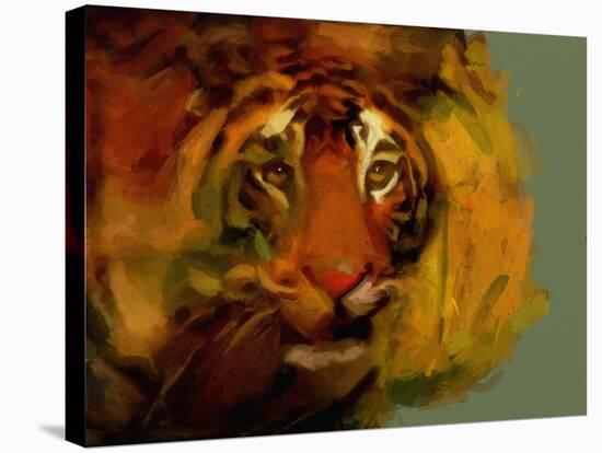 Tiger-Mark Gordon-Stretched Canvas