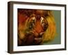 Tiger-Mark Gordon-Framed Giclee Print