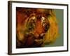 Tiger-Mark Gordon-Framed Giclee Print