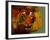 Tiger-Mark Gordon-Framed Giclee Print