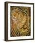 Tiger-Ikahl Beckford-Framed Giclee Print