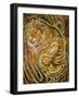 Tiger-Ikahl Beckford-Framed Giclee Print